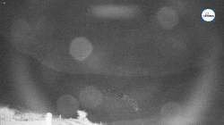 Webcams