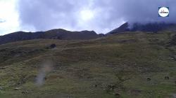Webcams