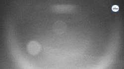 Webcams