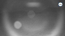 Webcams