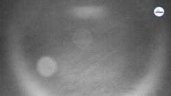 Webcams