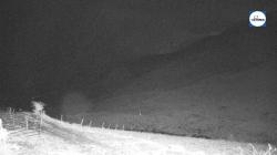 Webcams