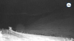 Webcams