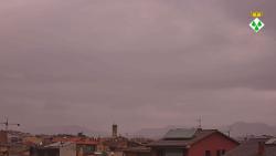 Webcams