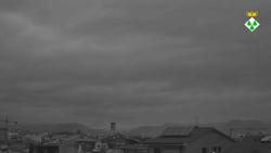 Webcams