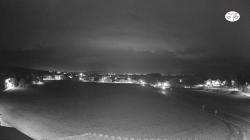 Webcams