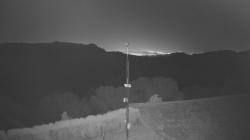 Webcams