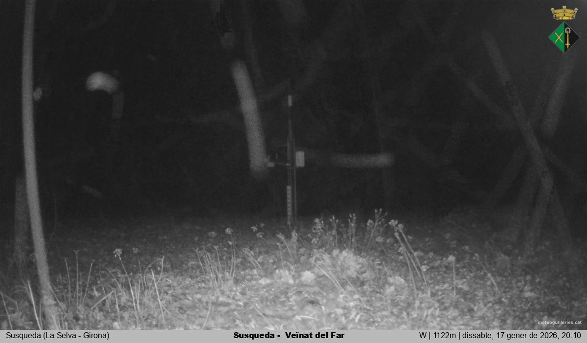 Susqueda -  Veïnat del Far