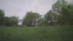 Webcams