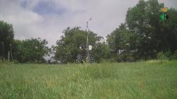Webcams