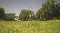 Webcams