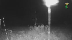 Webcams