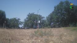 Webcams