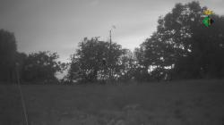 Webcams