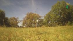 Webcams