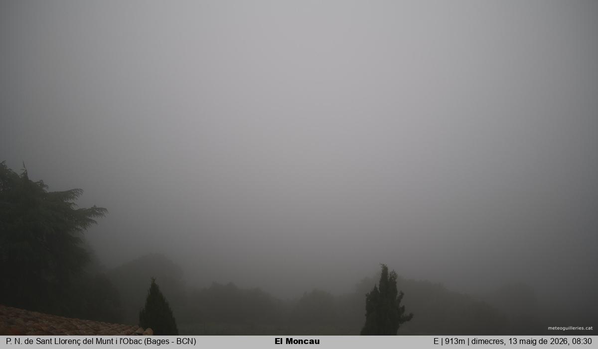 El Moncau