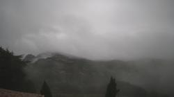 Webcams
