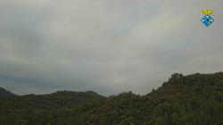Webcams