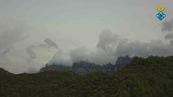 Webcams