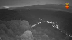 Webcams