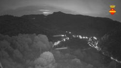 Webcams