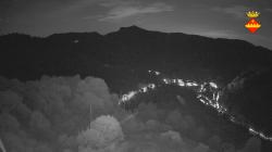 Webcams