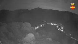 Webcams
