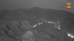 Webcams