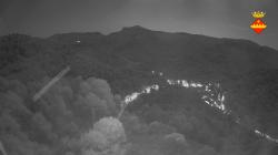 Webcams