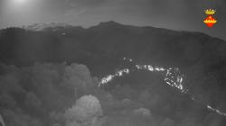Webcams
