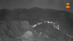 Webcams