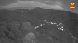 Webcams