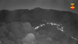 Webcams