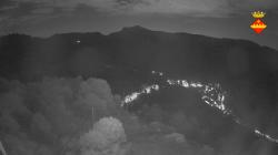Webcams