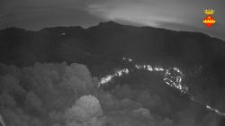 Webcams