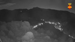 Webcams