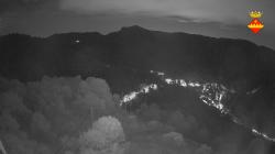 Webcams
