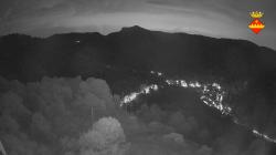 Webcams