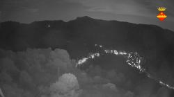 Webcams