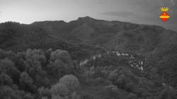 Webcams