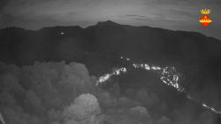 Webcams