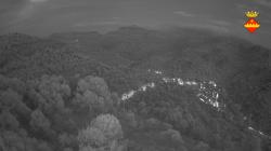 Webcams