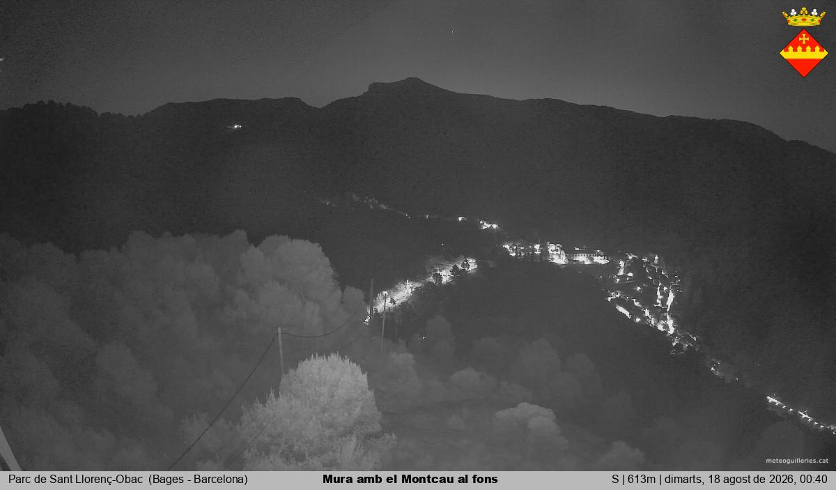 Mura amb el Montcau al fons