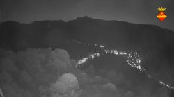 Webcams