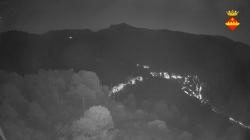 Webcams