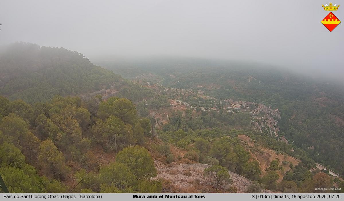 Mura amb el Montcau al fons