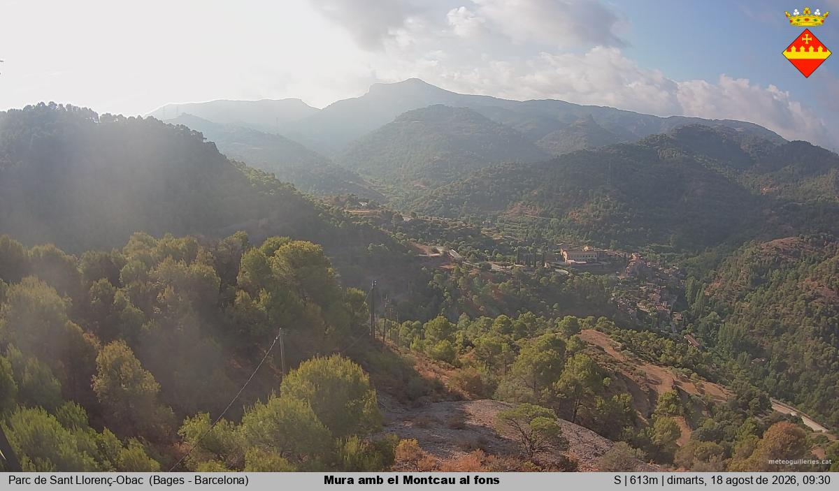 Mura amb el Montcau al fons