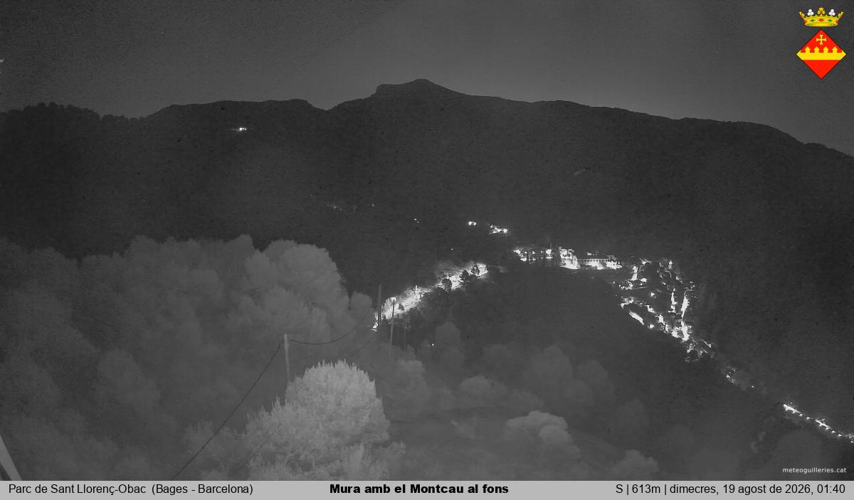 Mura amb el Montcau al fons