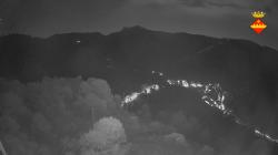 Webcams