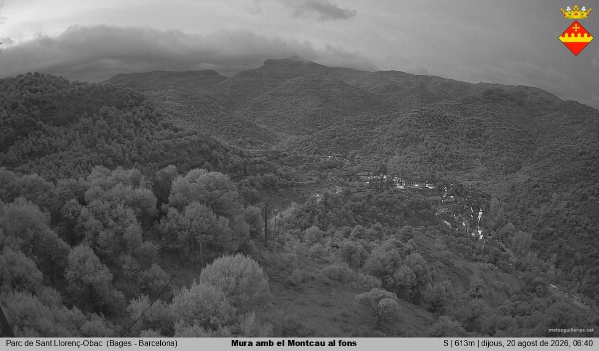 Mura amb el Montcau al fons